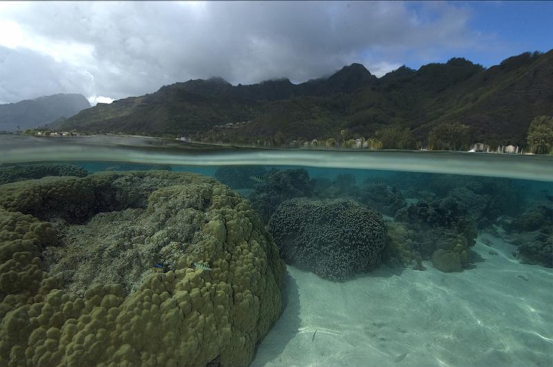 moorea lagon 082009_78.jpg